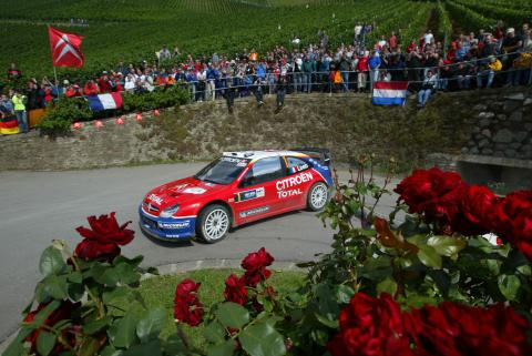 xsara_wrc_2005_3.jpg